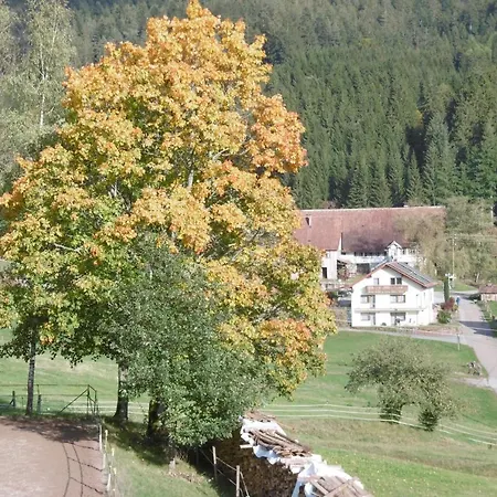 Cafe-pension Frey * Baiersbronn