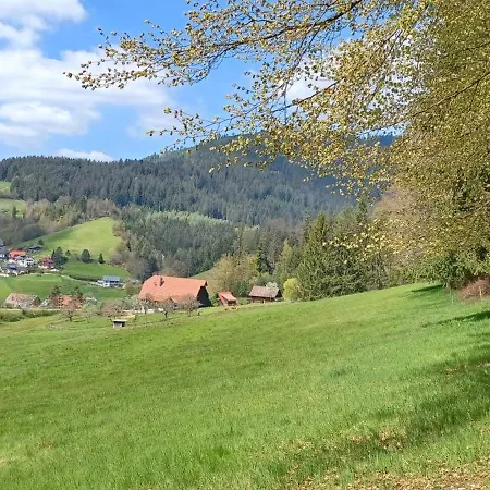 Cafe-pension Frey Apartment Baiersbronn